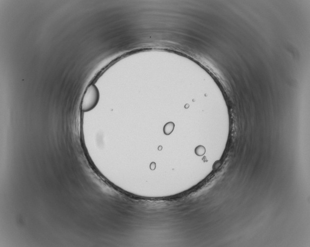 X0000112750940200910011151