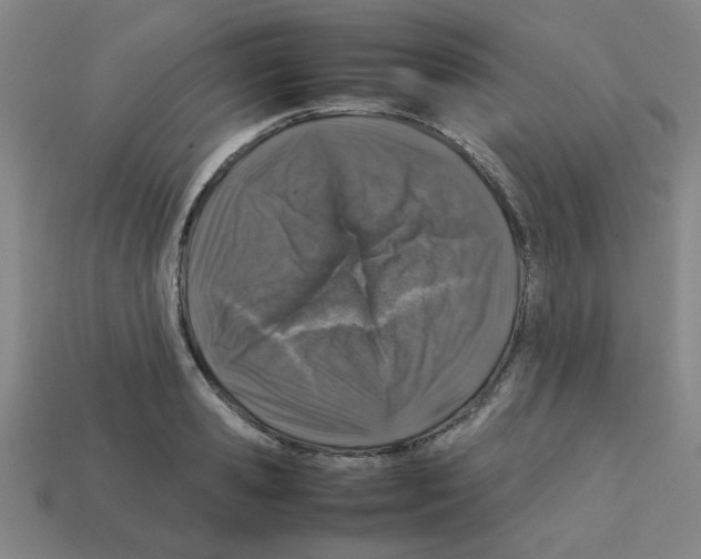 X0000112750941200910011151