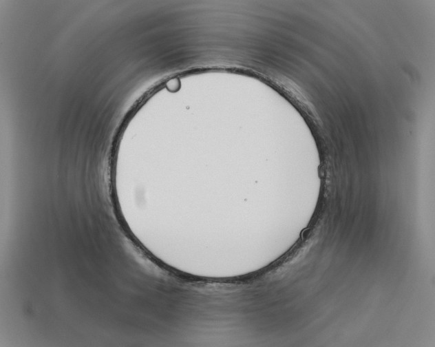 X0000112750942200910011151