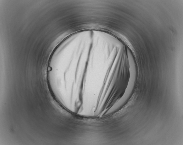 X0000112750946200910011151