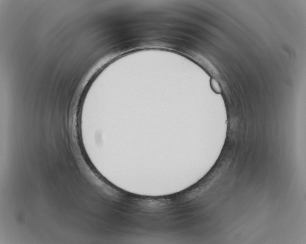 X0000112750947200910011151