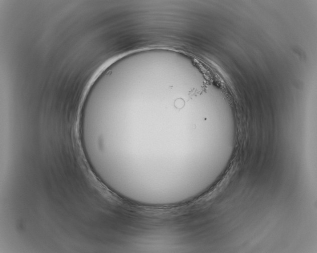 X0000112750948200910011151