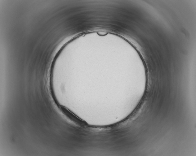 X0000112750949200910011151