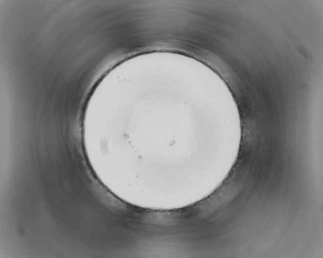 X0000112750950200910011151