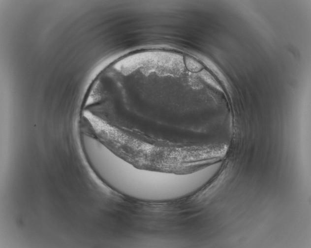 X0000112750951200910011151