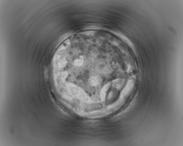 X0000112750953200910011151