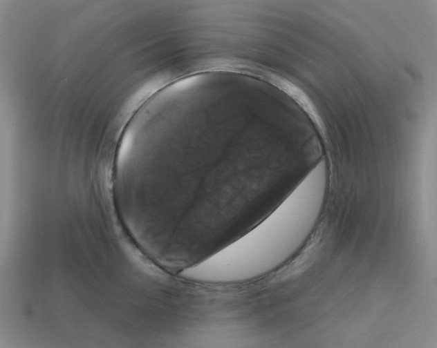 X0000112750954200910011151