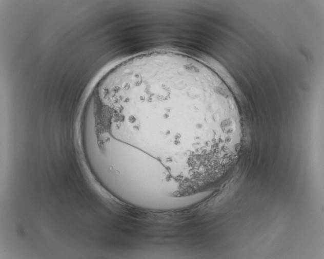 X0000112750955200910011151