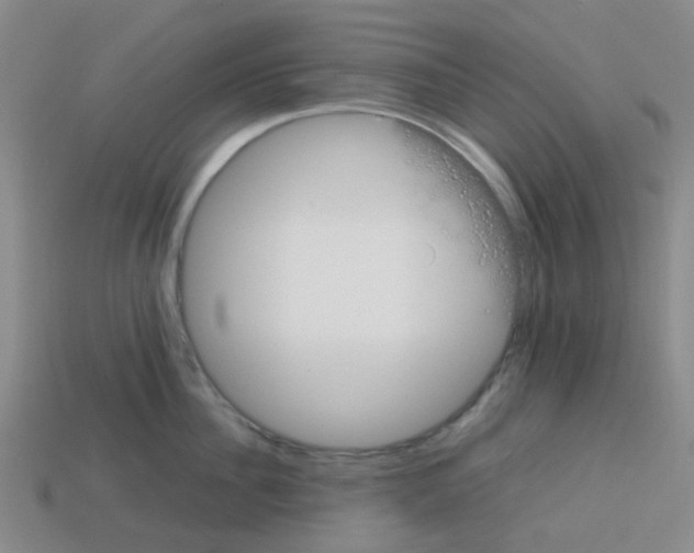 X0000112750956200910011151