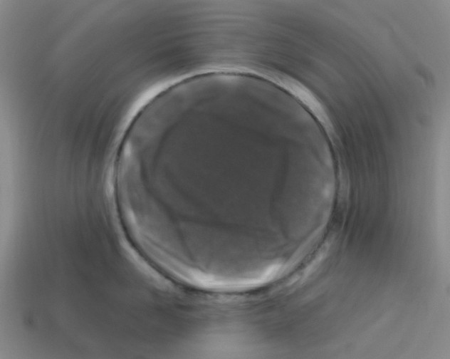 X0000112750958200910011151