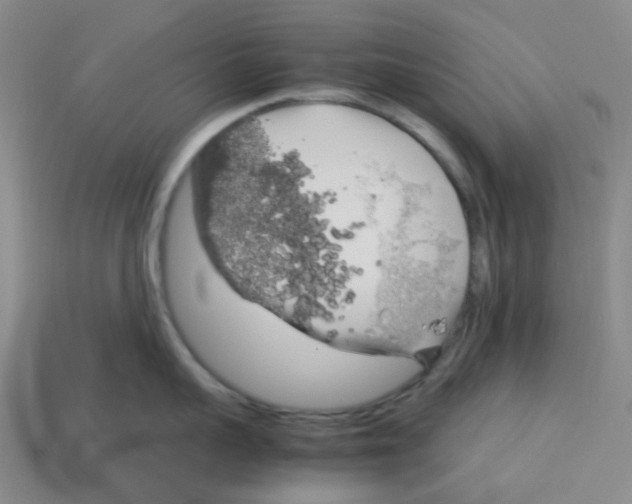 X0000112750959200910011151