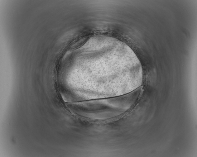 X0000112750961200910011151