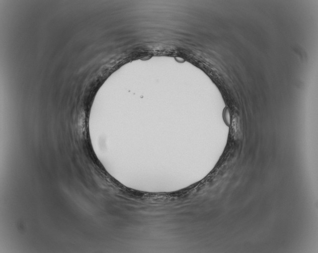 X0000112750963200910011151