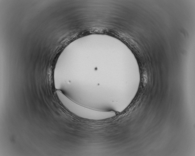 X0000112750964200910011150