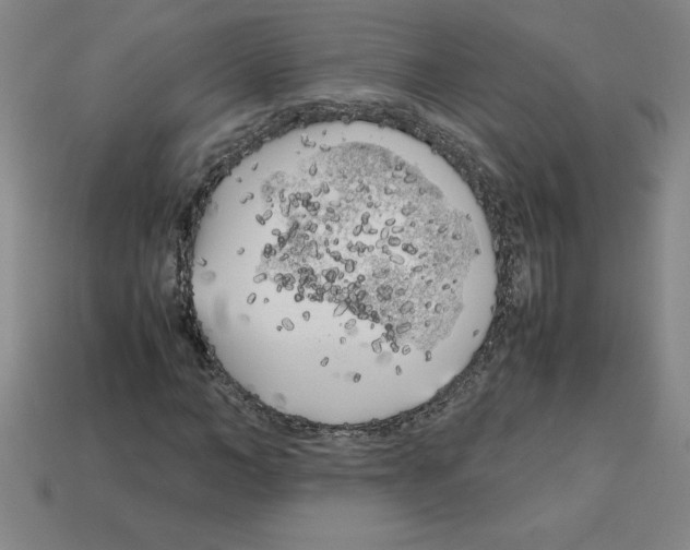 X0000112750966200910011150