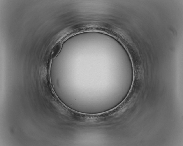 X0000112750969200910011150