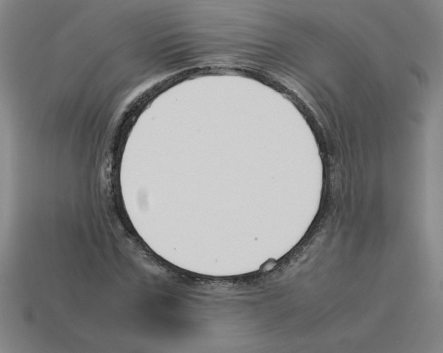 X0000112750971200910011150