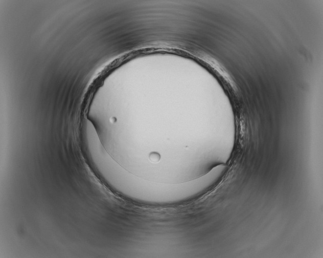 X0000112750972200910011150