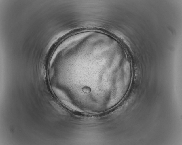 X0000112750973200910011150