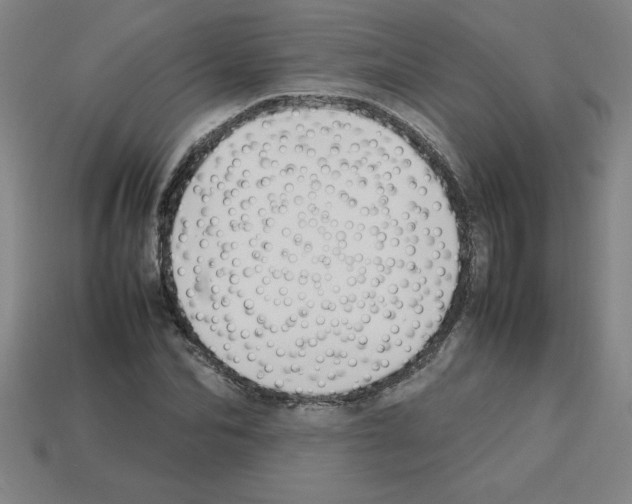 X0000112750974200910011150