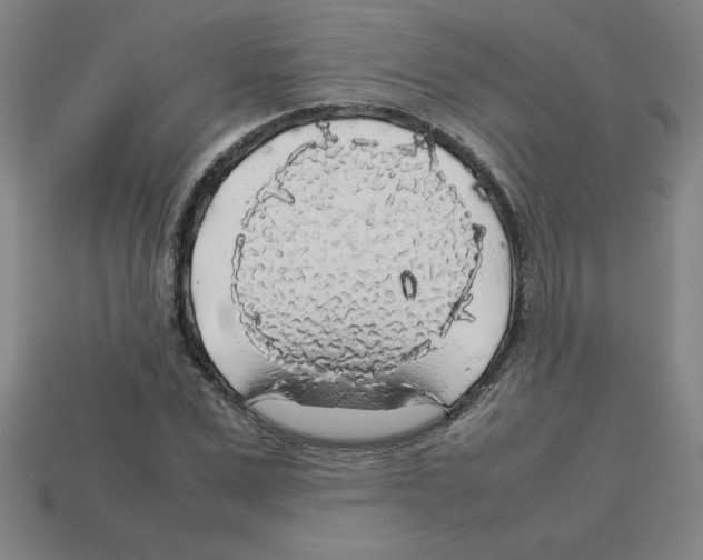 X0000112750975200910011150