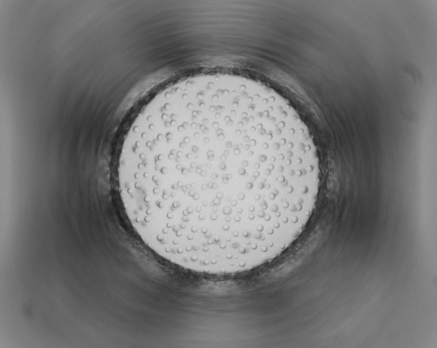 X0000112750978200910011150