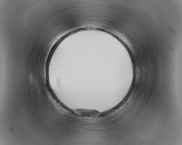 X0000112750980200910011150