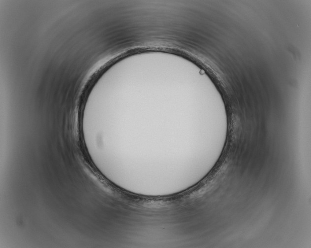 X0000112750982200910011150