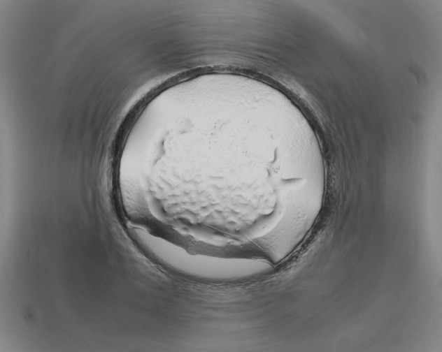 X0000112750983200910011150