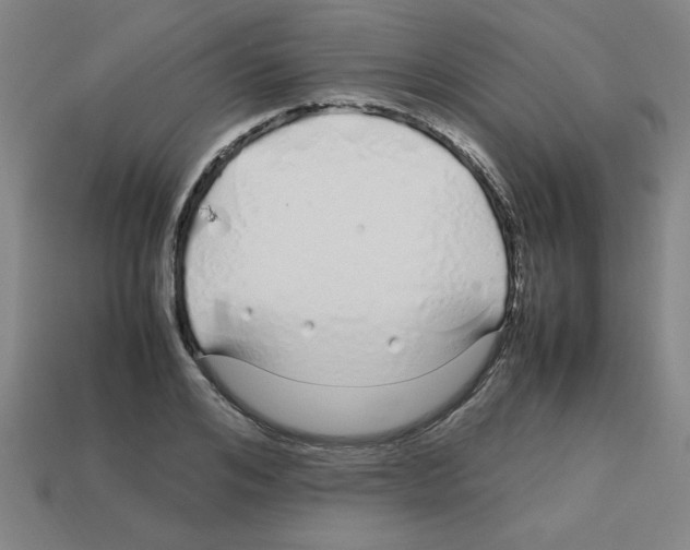 X0000112750984200910011150