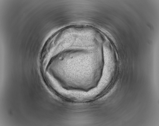 X0000112750989200910011150