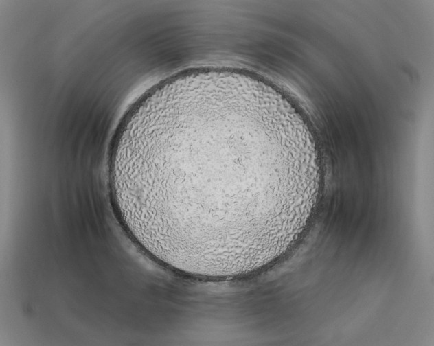 X0000112750990200910011150