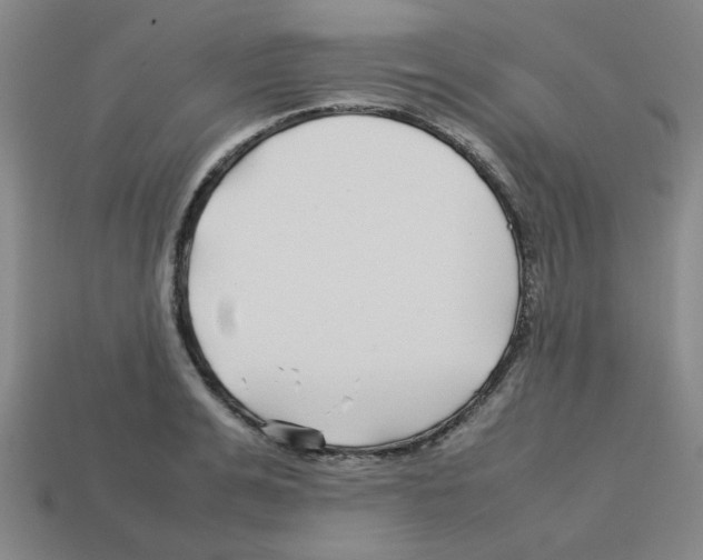 X0000112750991200910011150