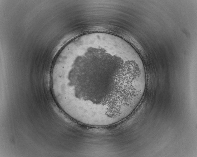 X0000112750994200910011150