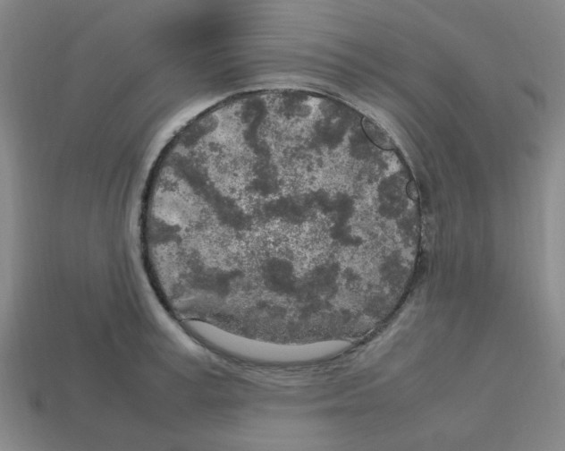 X0000112750995200910011150