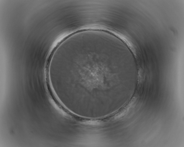 X0000112750998200910011150