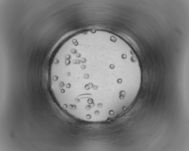 X0000112751000200910011150