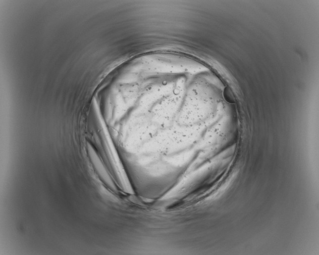 X0000112751001200910011150