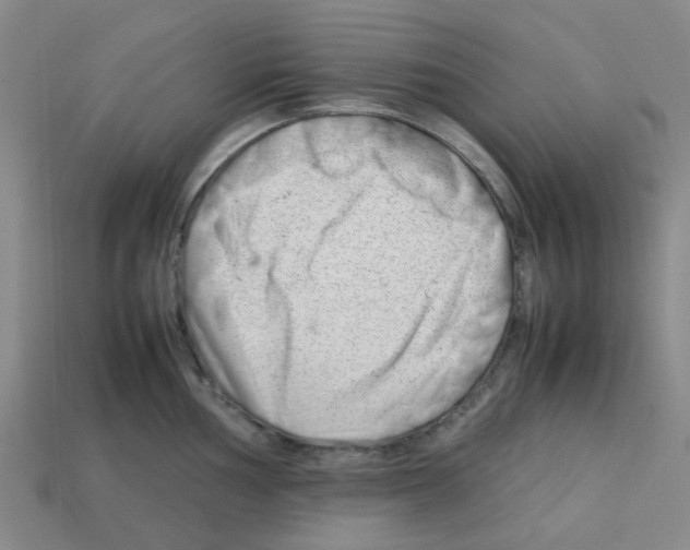 X0000112751002200910011150