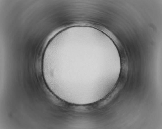 X0000112751004200910011150