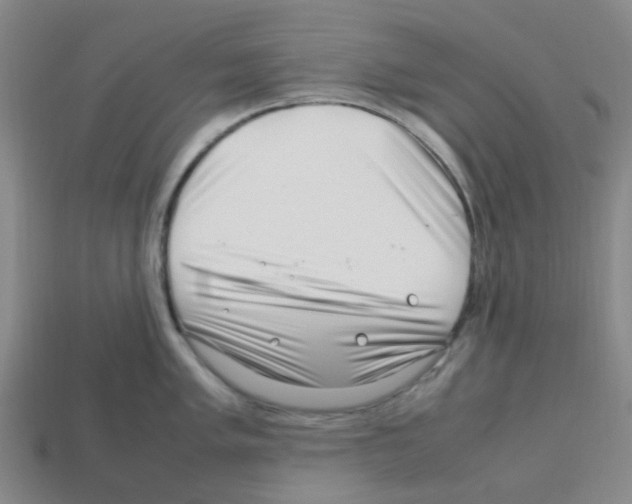 X0000112751005200910011150