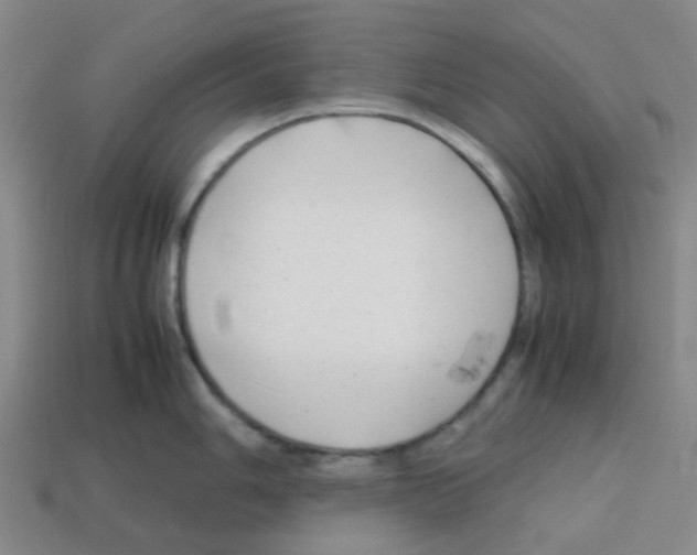 X0000112751006200910011150