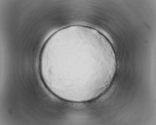 X0000112751007200910011150