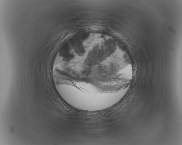 X0000112751009200910011149