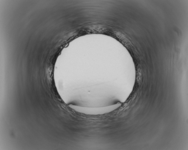 X0000112751010200910011149