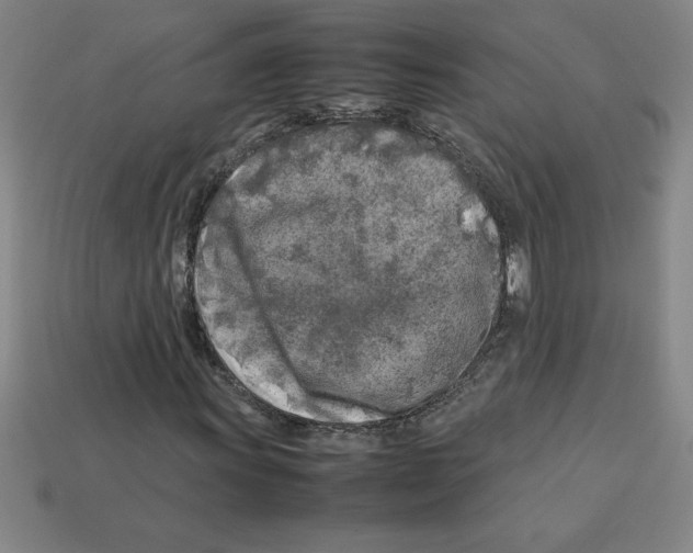 X0000112751011200910011149