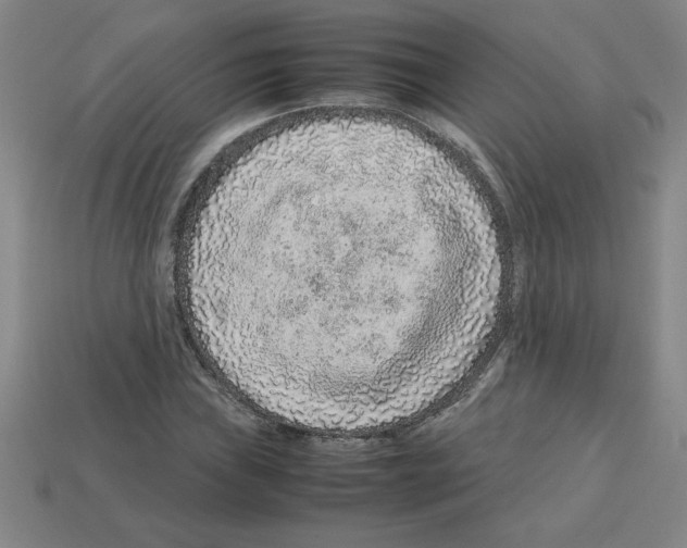 X0000112751019200910011149