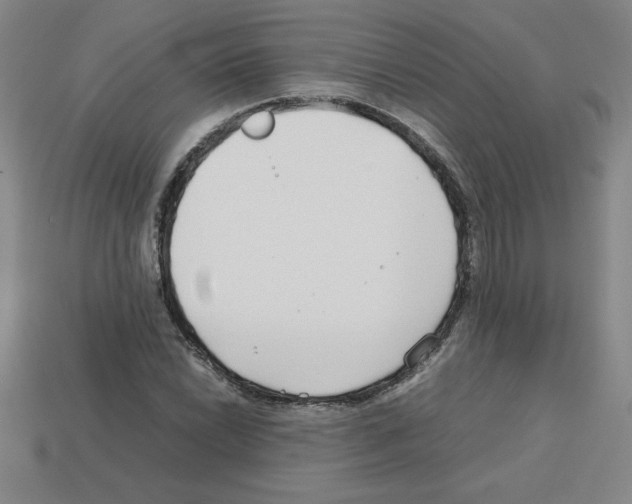 X0000112751022200910011149