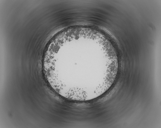 X0000112751025200910011150