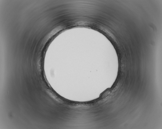 X0000112751026200910011150